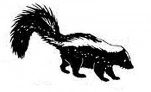 skunk