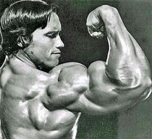 arnold300